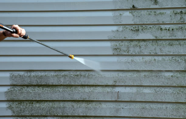 Best Fence Cleaning and Maintenance in Jeffersontown, KY