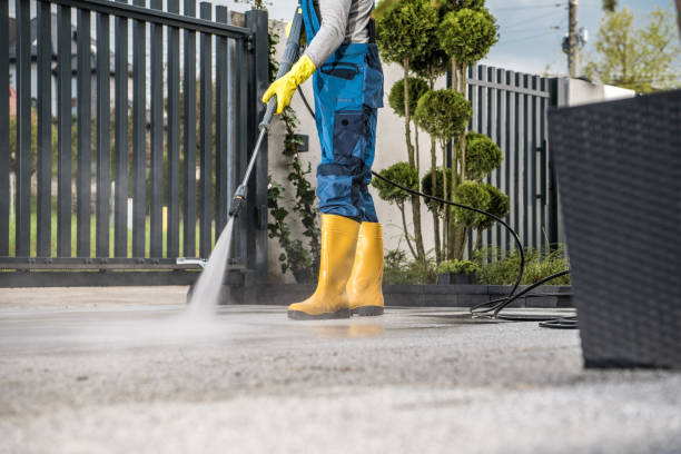 Best Gutter Cleaning and Brightening in Jeffersontown, KY